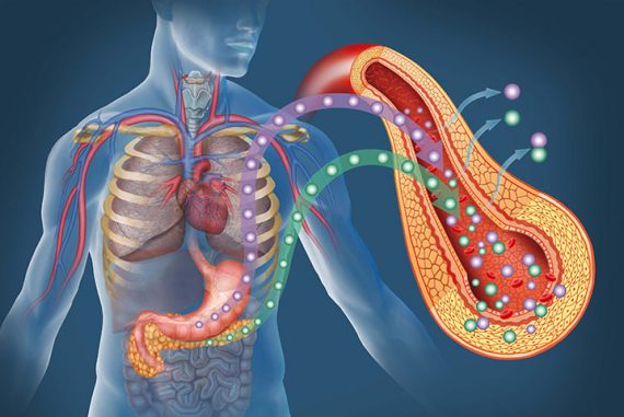 diabetes affect your pancreas