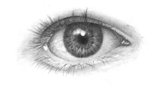 eyeillus