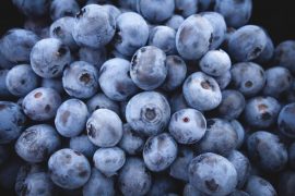 blood sugar control - blueberries