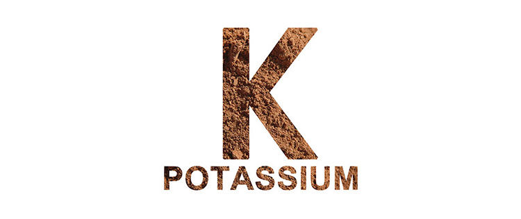 diabetes and potassium