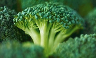 how does broccoli help diabetes