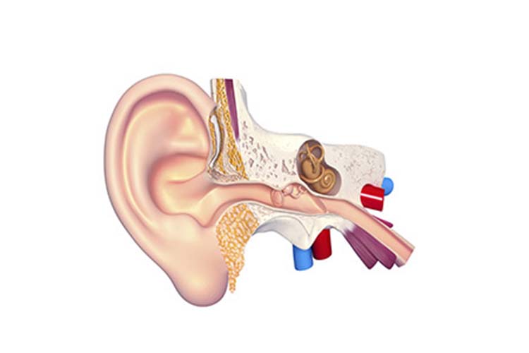 symptoms of meniere's disease